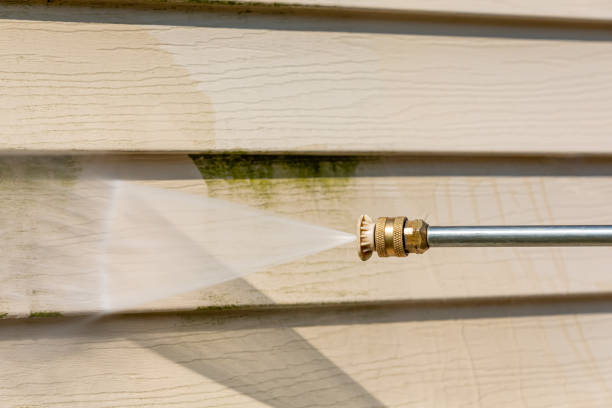 Best Pressure Washing Siding  in St Maries, ID